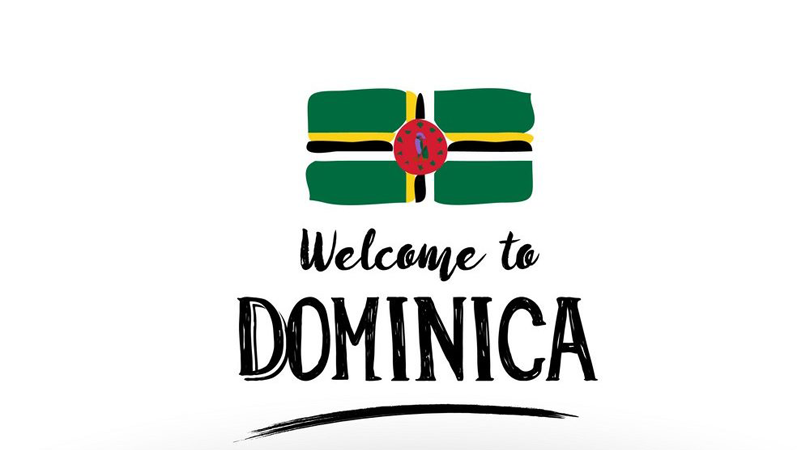 https://dominicaparadise.com/wp-content/uploads/2020/11/buying-dominica-passport.png