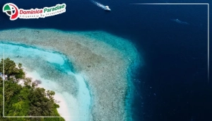 طبیعت کشور مالدیو