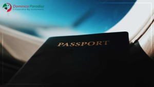 پاسپورت دوم چیست