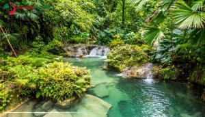 طبیعت کشور جامائیکا