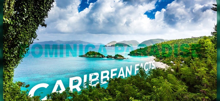 حقایق جالب در مورد منطقه کارائیب
